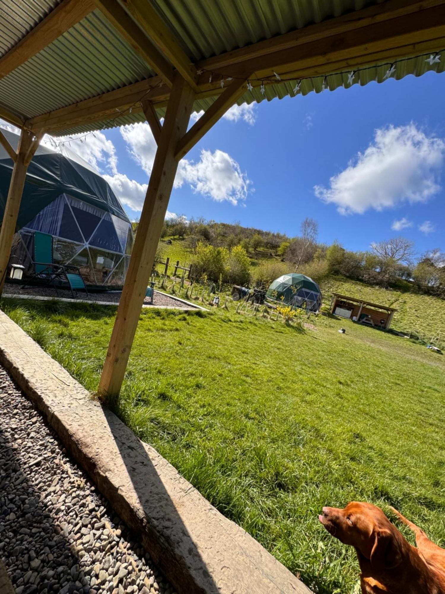 Geodesic Dome Glamping Hotel Llanidloes Kültér fotó